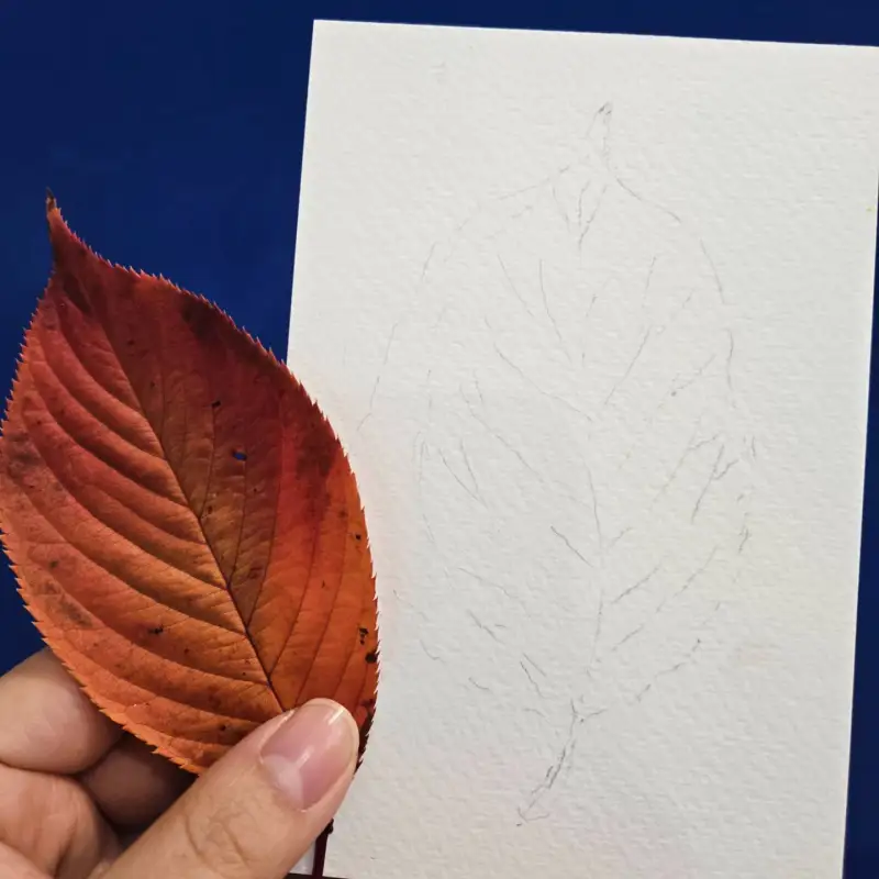 드로잉로그,화방넷드로잉로그,가을1