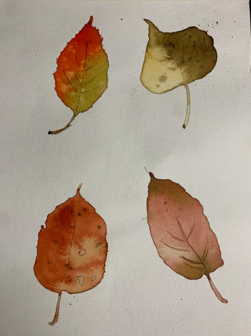 화방넷드로잉로그,드로잉로그