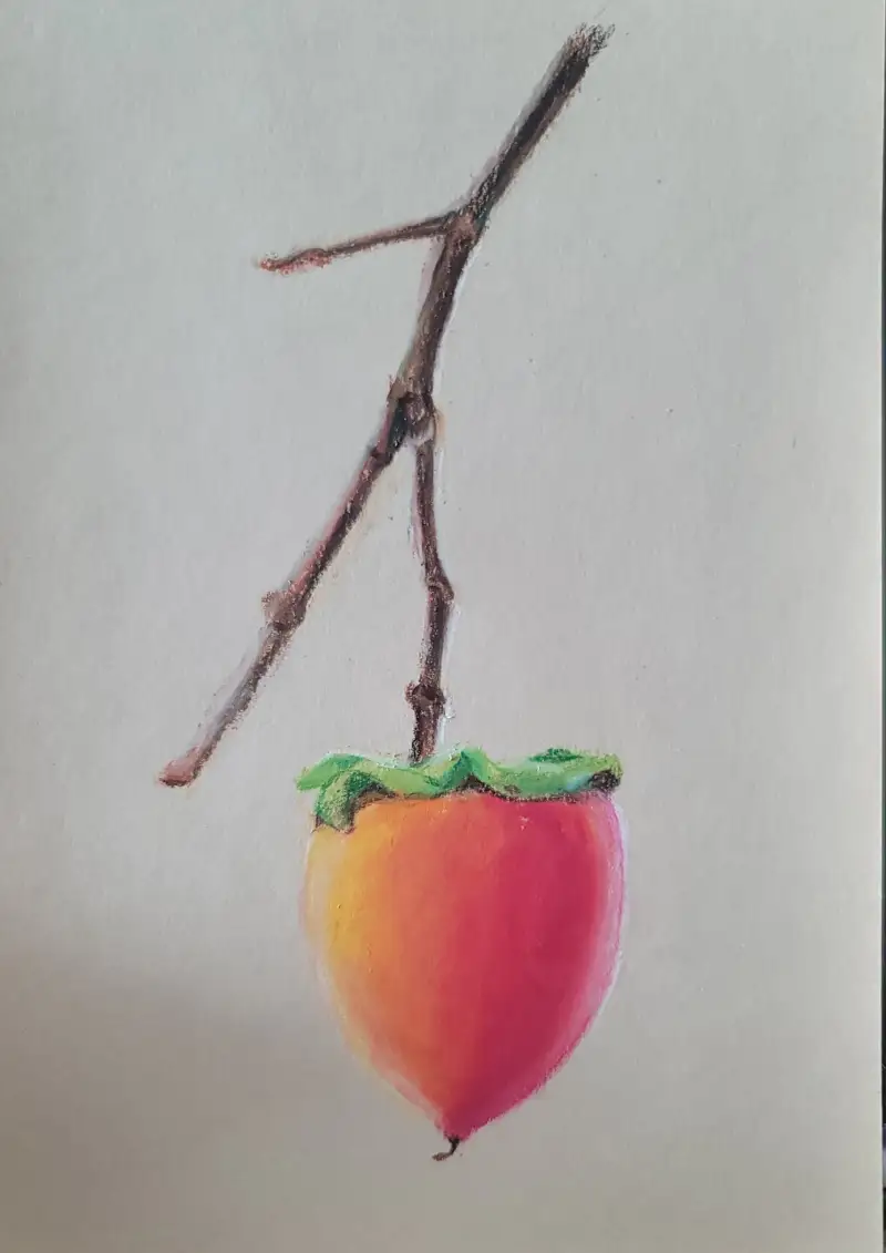 화방넷드로잉로그,문교오일파스텔,프리즈마색연필