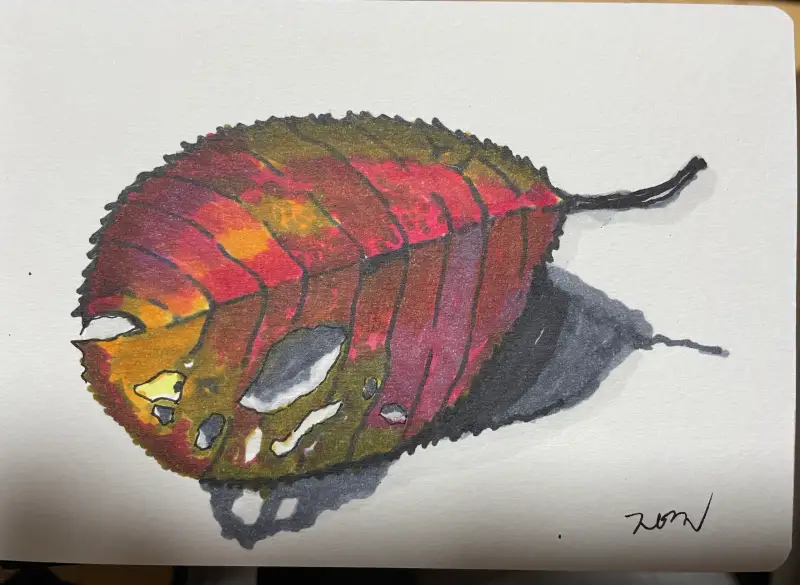 코픽마카,세르지오수채패드300g,화방넷드로잉로그