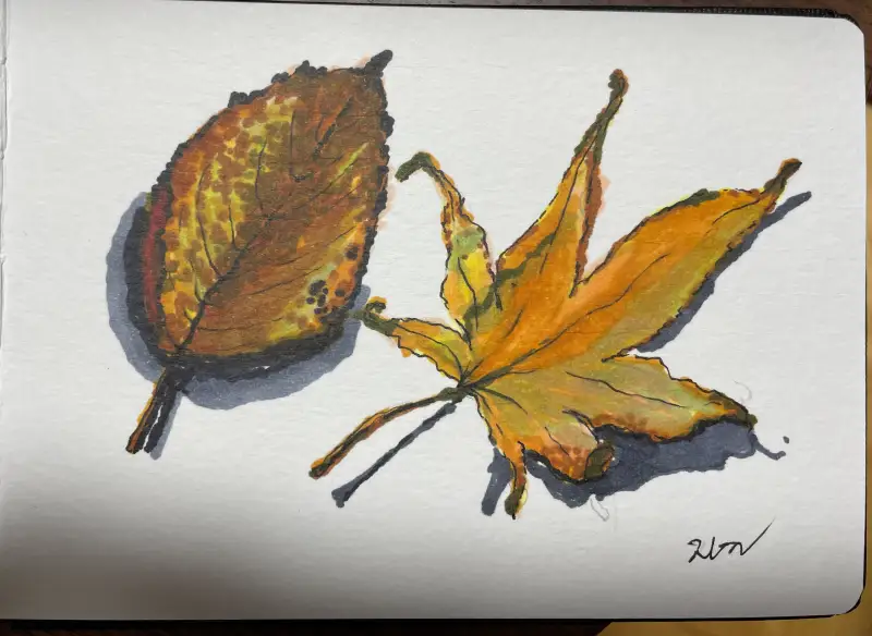 코픽마카,세르지오수채패드300g,화방넷드로잉로그