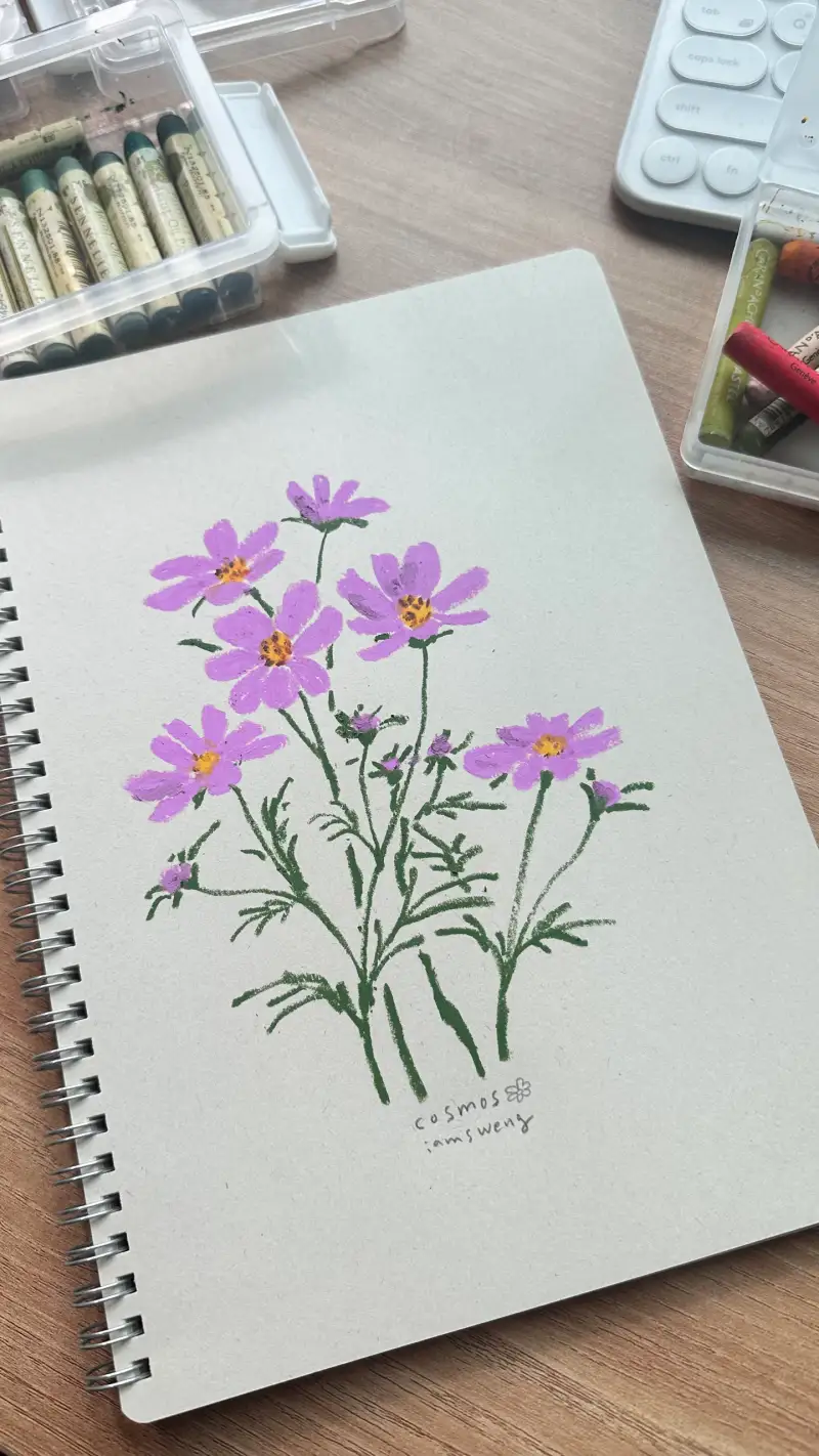 코스모스,드로잉로그3기