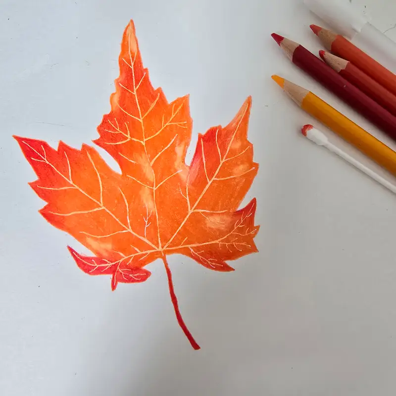 사쿠라갤리롤,프리즈마색연필