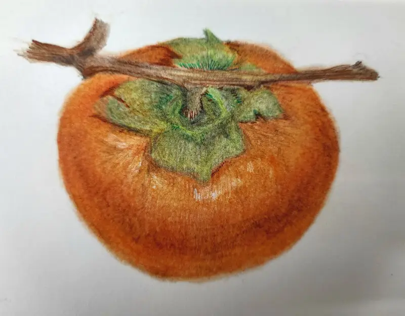 파버카스텔,수채색연필