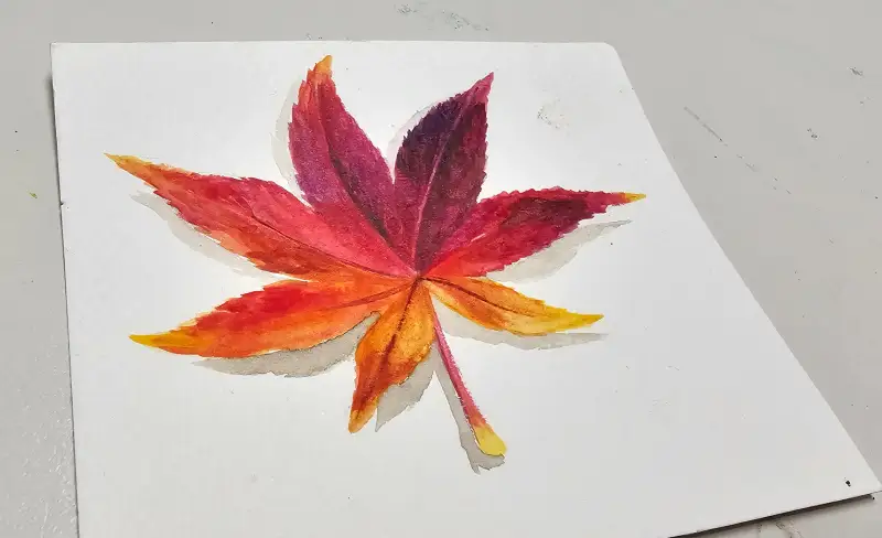 수채화,단풍잎,가을