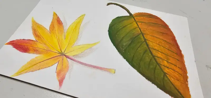 색연필,오일파스텔,단풍잎,가을
