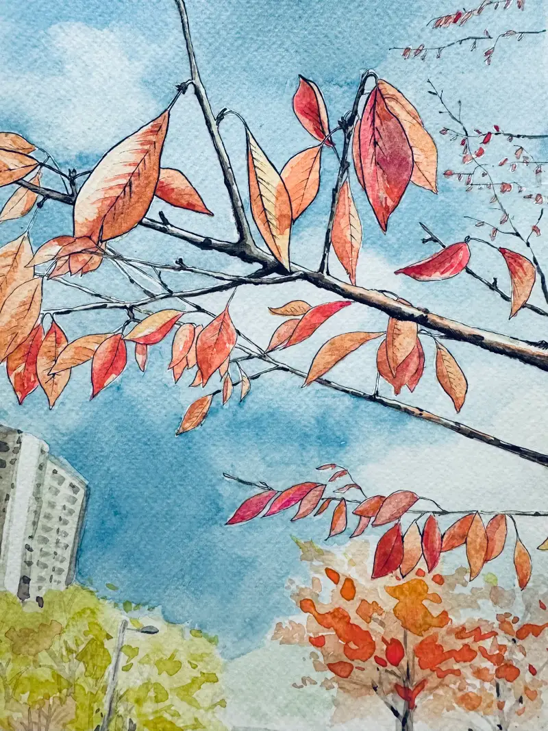 신한swc,파브리아노