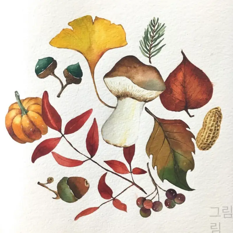 가을,낙엽,도토리,햇땅콩,늙은호박,가을추수,은행잎,단풍잎,열매