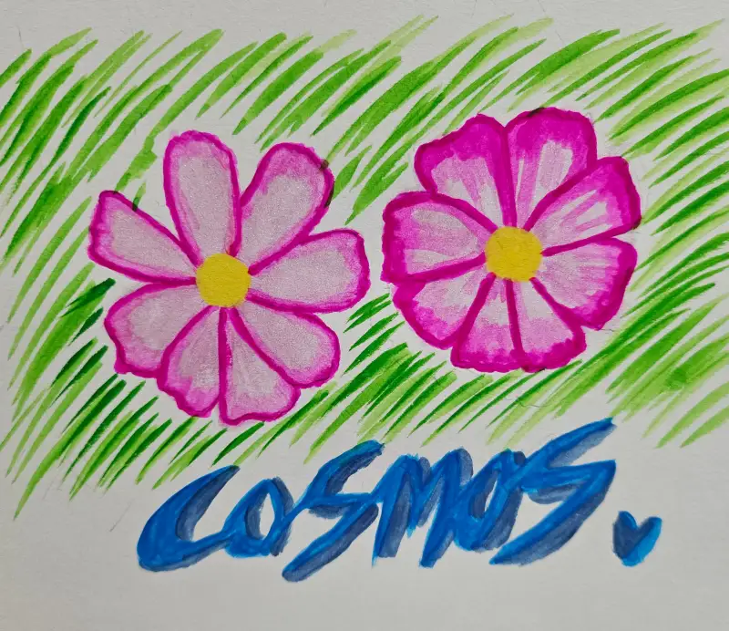 사쿠라코이워터칼라,고체물감