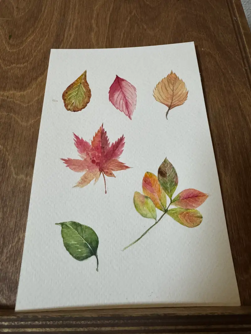 드로잉,드로잉로그,가을낙엽,가을