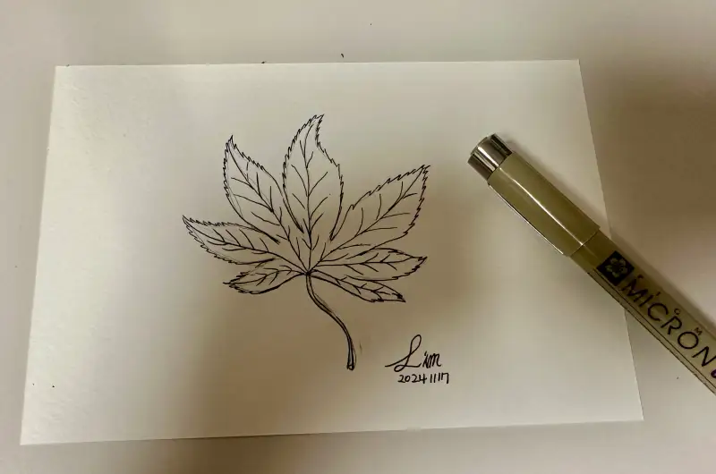 사쿠라피그마,펜화