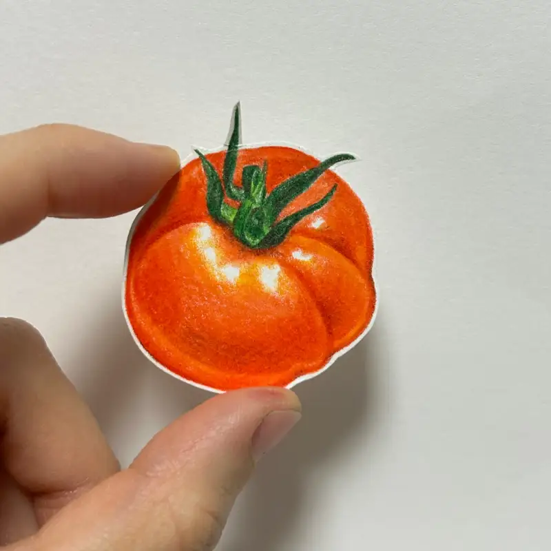 프리즈마,토마토,자연물,프리즈마색연필,손그림