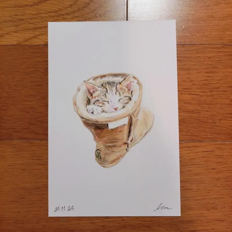 신발,부츠,고양이