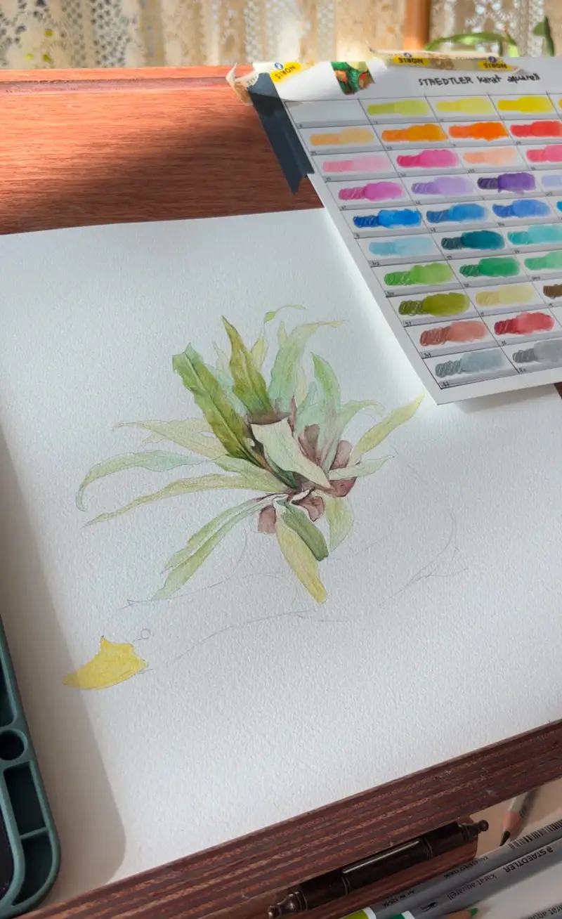 수채색연필,스테들러,카라트아쿠아렐