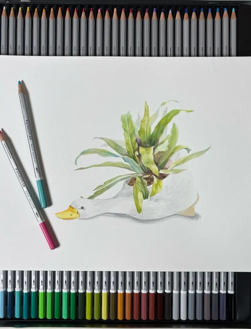 스테들러,아쿠아렐,수채색연필