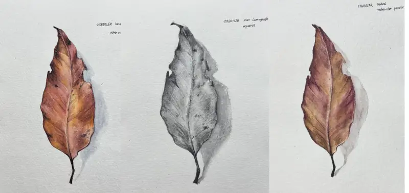 스테들러,수채색연필,수채연필,카라트,틴트색연필