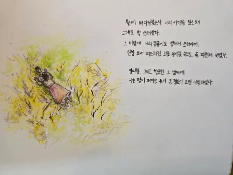 프리즈마유성색연필