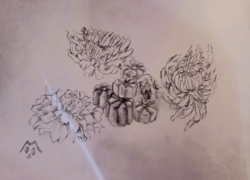 국화빵,소묘,연필,국화