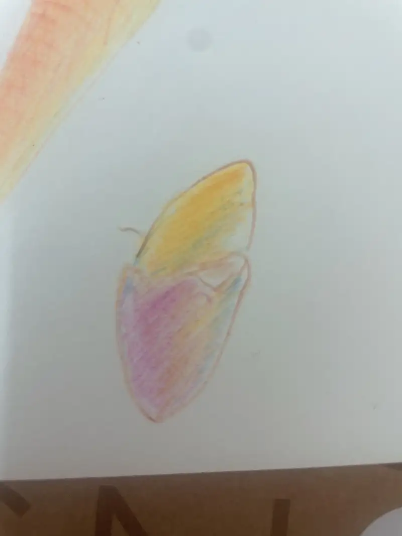 색연필화,드로잉로그