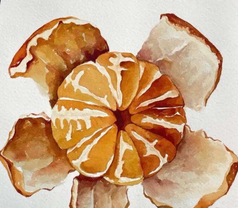 겨울간식,귤,수채화,드로잉로그챌린지,화방넷드로잉로그4기,미젤로골드미션