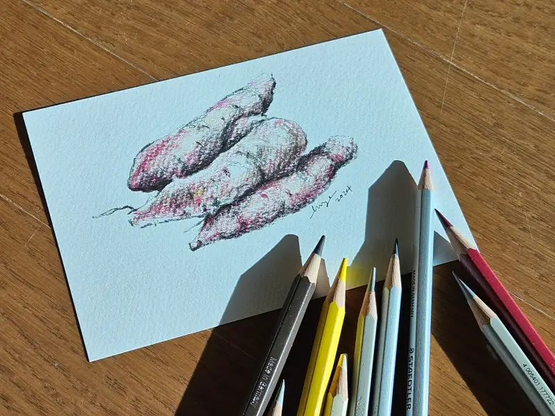 화방넷드로잉로그,드로잉로그,사용한재료,화방넷,겨울간식,파버카스텔,까렌다쉬,스테들러,파브리아노