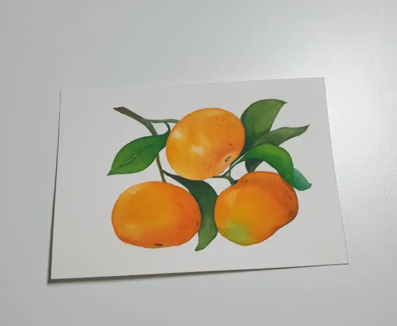 화방넷드로잉로그,드로잉로그,귤