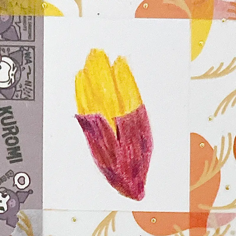 더웬트,크로마플로우,유성색연필