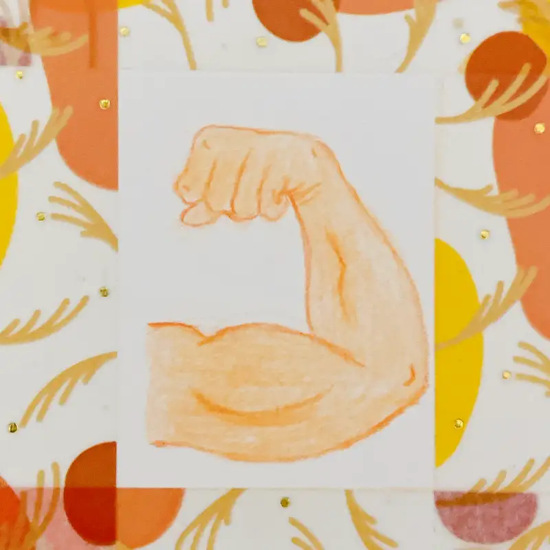 더웬트,크로마플로우,유성색연필