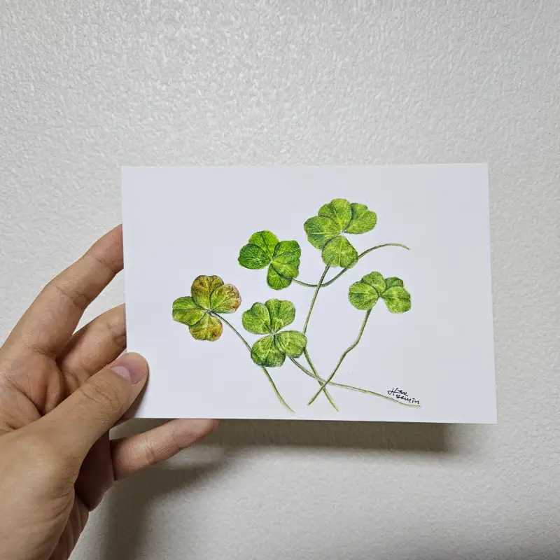 화방넷드로잉로그,드로잉로그,화방넷,사용한재료,파버카스텔,파브리아노,화홍,미젤로