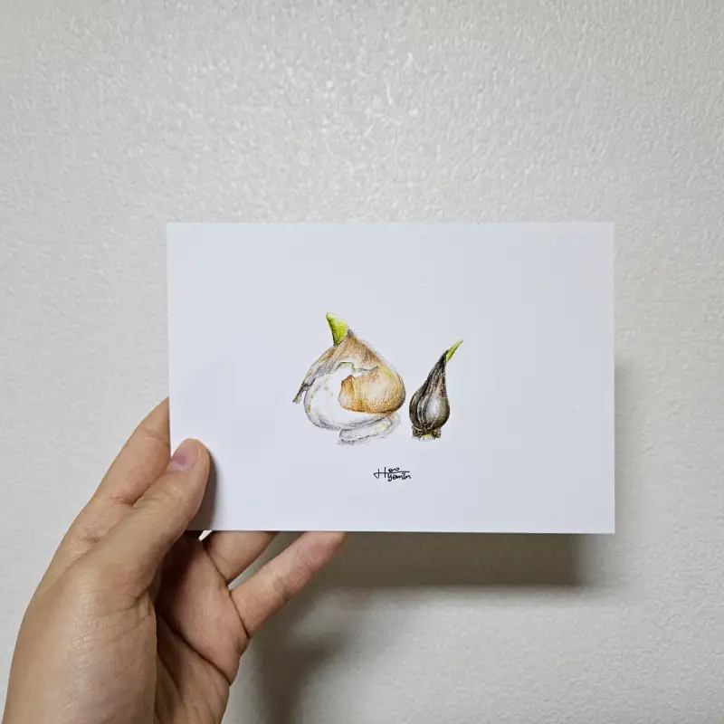 화방넷드로잉로그,드로잉로그,사용한재료,파브리아노,파버카스텔,까렌다쉬,스테들러,화방넷