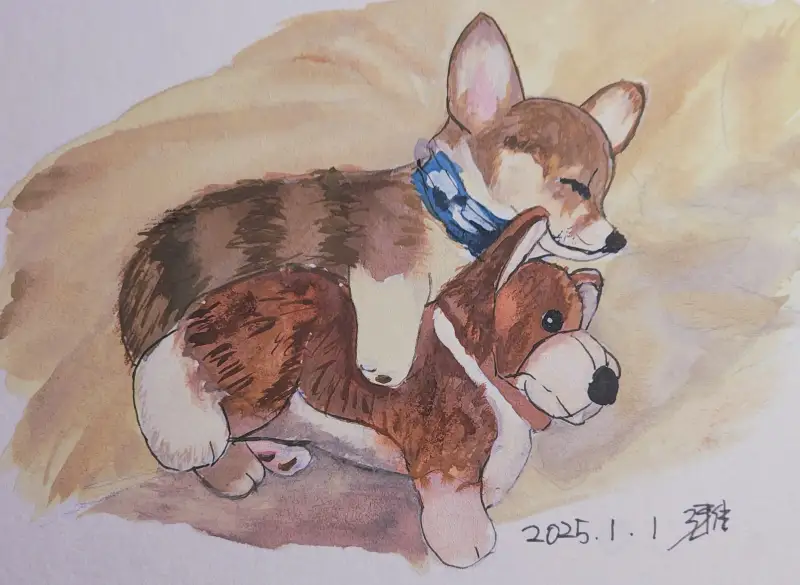 화방넷드로잉로그,드로잉로그,선물,잠,강아지,미젤로과슈,과슈