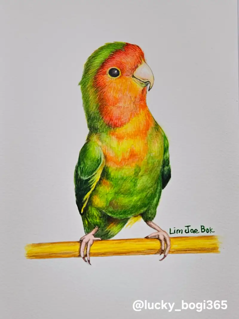 화방넷드로잉로그