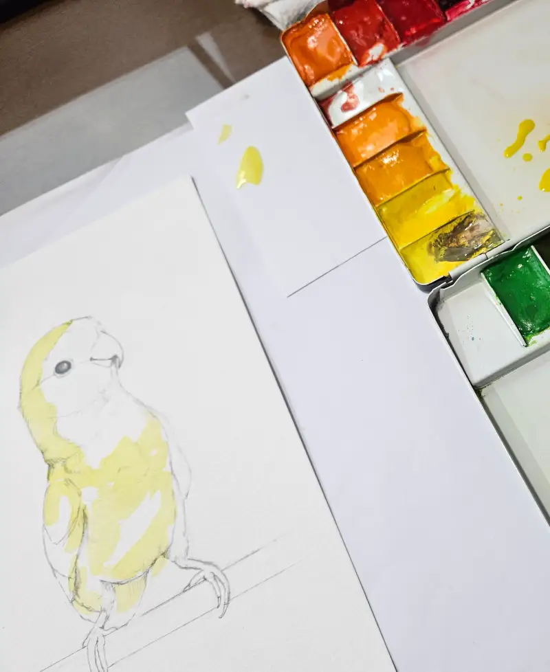 신한swc,수채물감,캔손