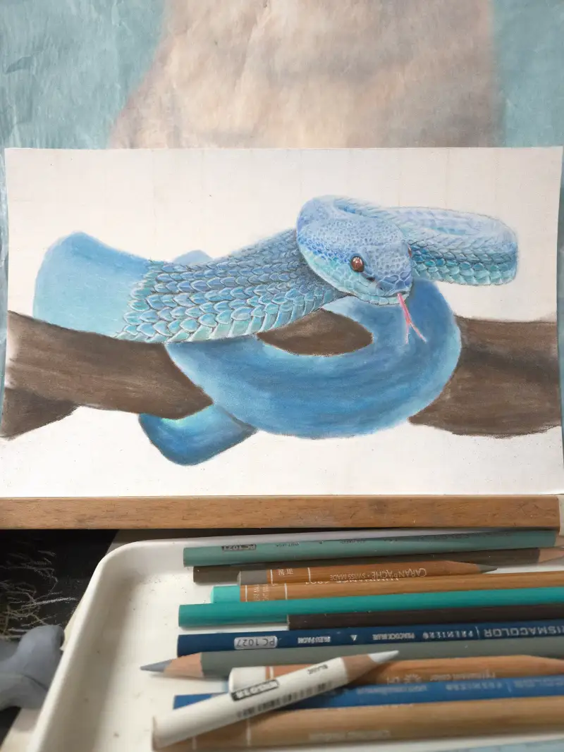 까렌다쉬루미넌스,더웬트파스텔연필,스타빌로파스텔연필