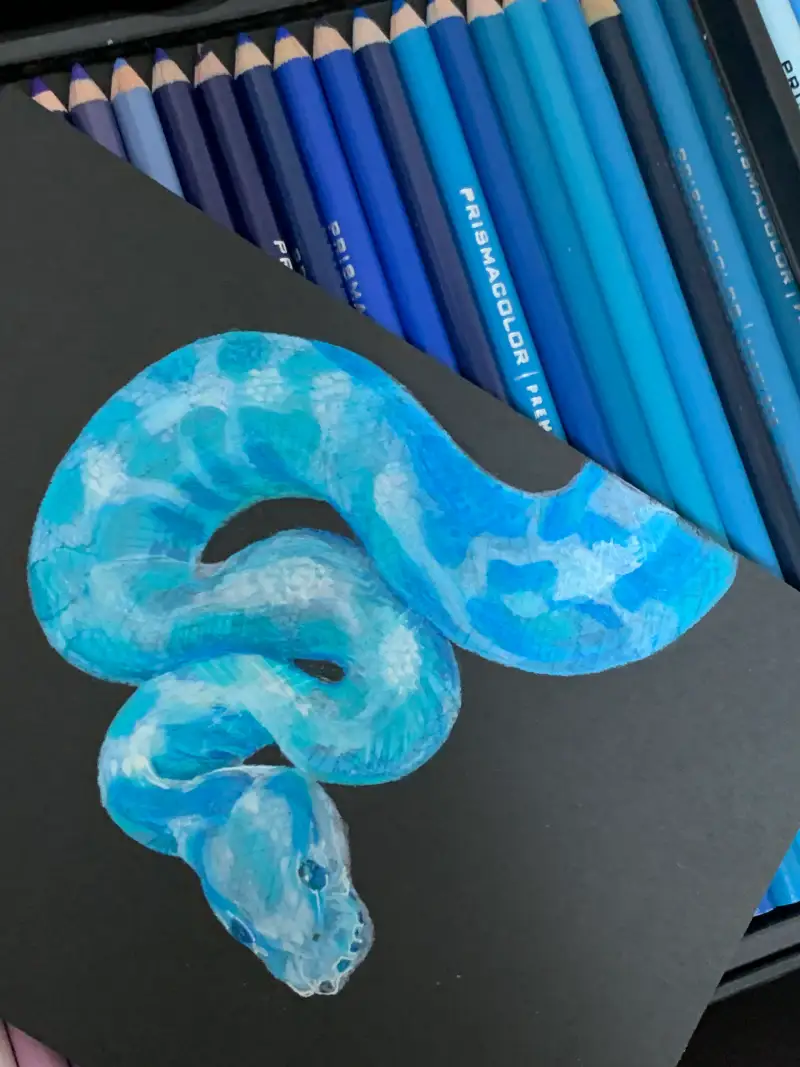 화방넷드로잉로그,사쿠라,젤리롤펜