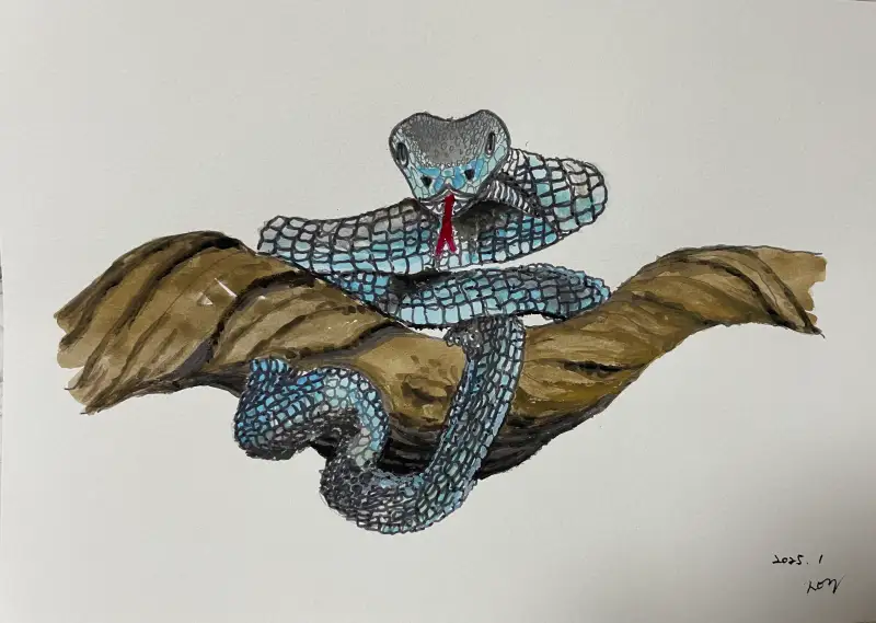 드로잉로그5기,화방넷드로잉로그