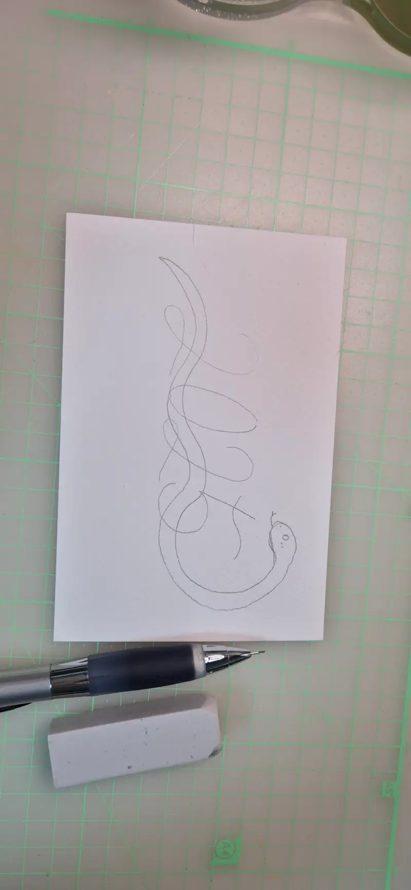 띤또레또수채화종이