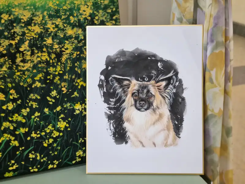 길상봉채,길상두방지