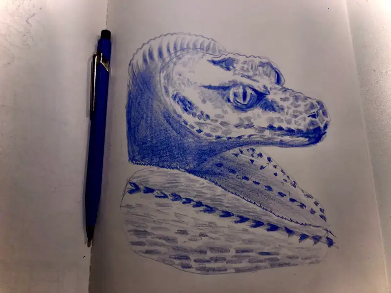 카렌다쉬,푸른뱀