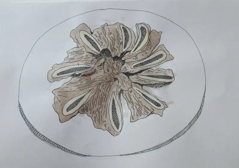 드로잉로그,화방넷드로잉로그