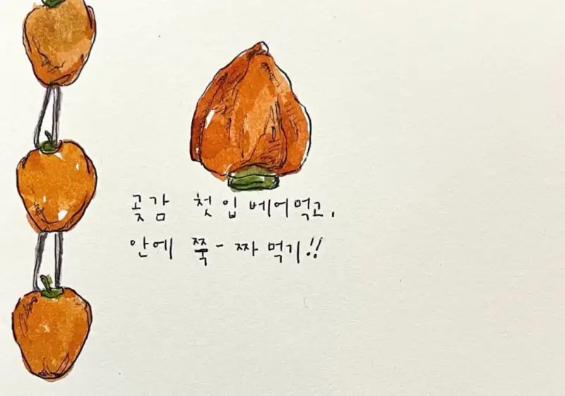 곶감,설음식,곶감선물