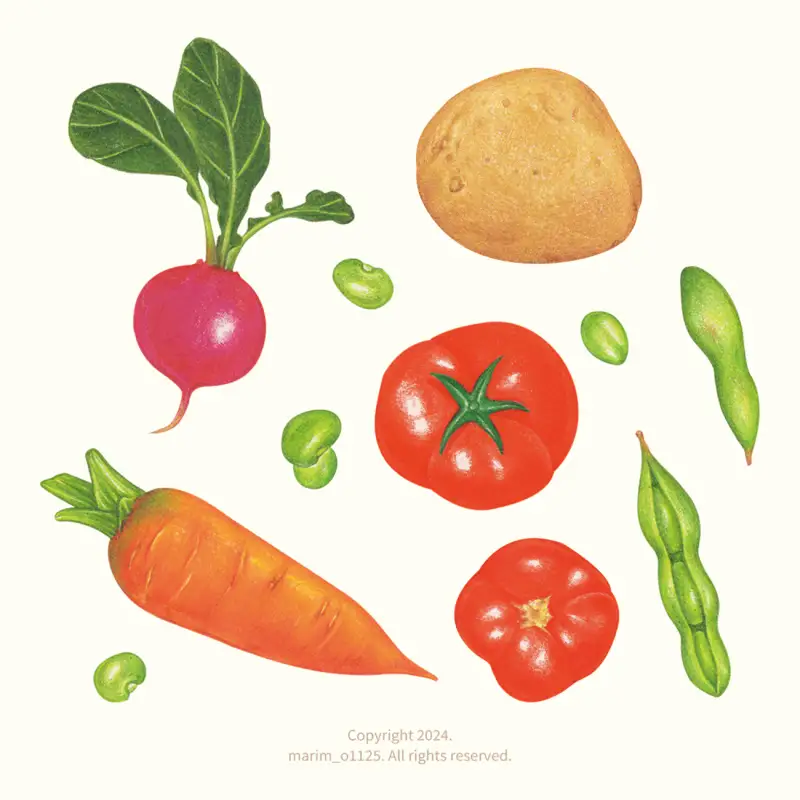 야채일러스트,당근,토마토,콩,감자,순무,자연일러스트,색연필,프리즈마,드로잉로그,화방넷드로잉로그