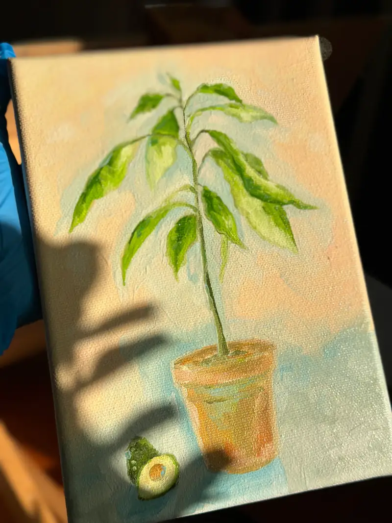 협찬,화방넷,체험단,쉴드,쉴드에픽유화물감,쉴드유화,캔버스,쉴드에라캔버스,유화물감,유화,붓세척제,색상표,취미미술,미여