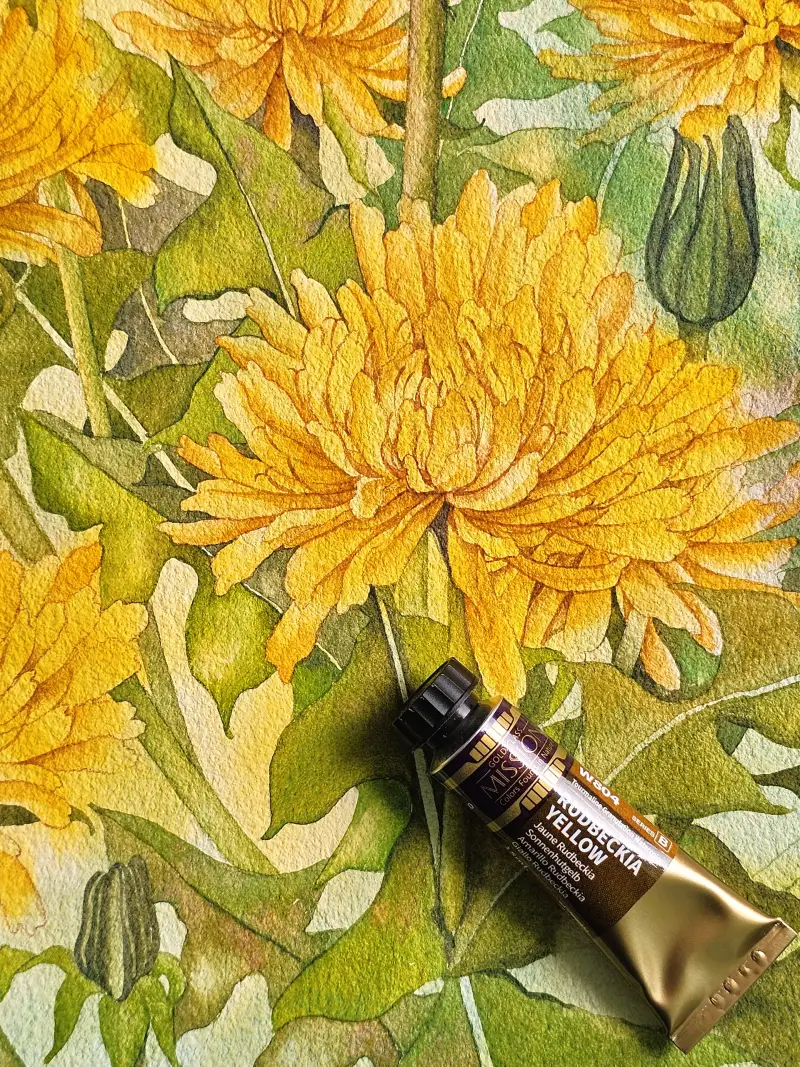 미젤로투톤그래뉼레이션물감,루드베키아옐로우