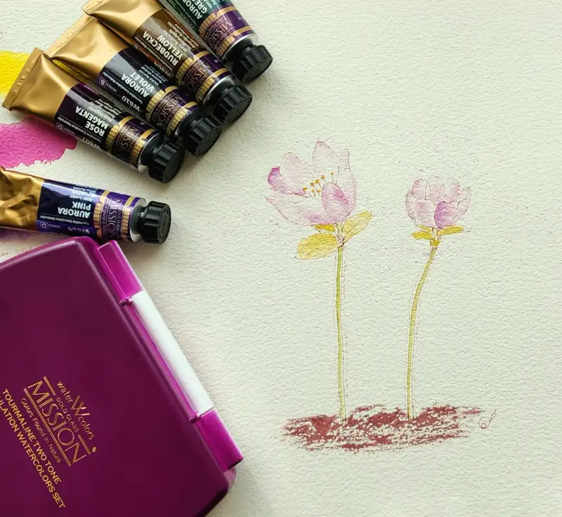 미젤로리얼코튼아티스트황목,미젤로투톤그래뉼레이션