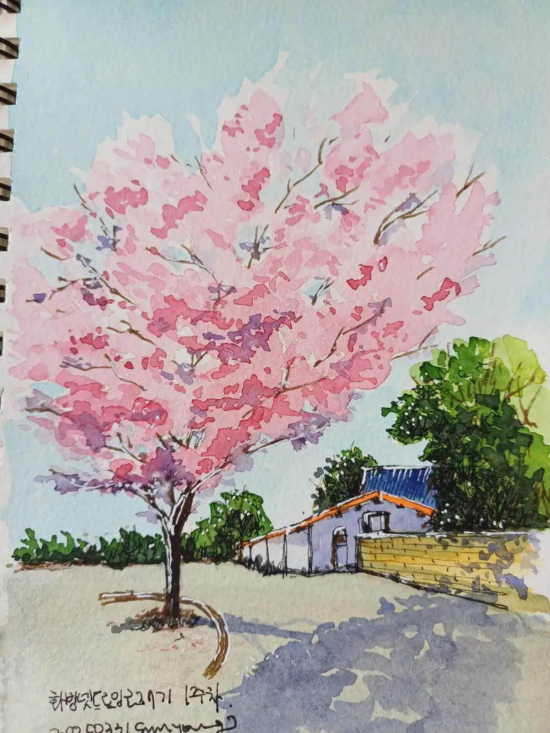 화방넷드로잉로그,1주차,벚꽃그리기