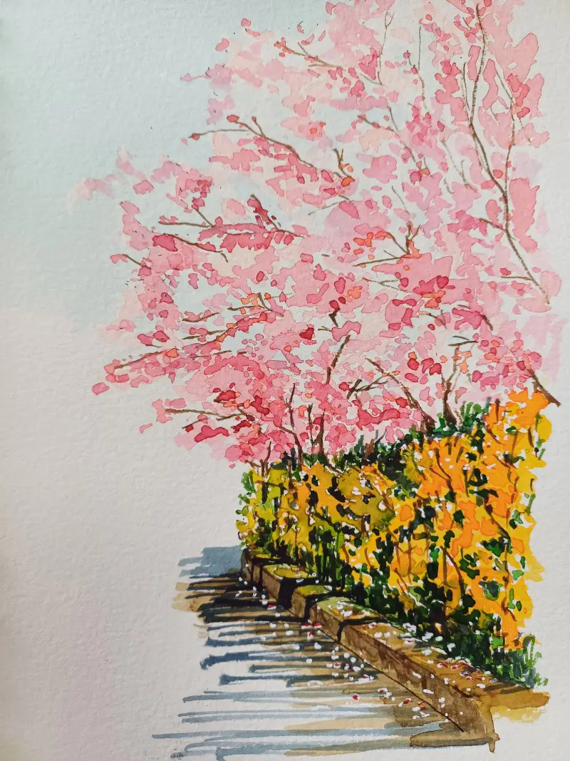 화방넷드로잉로그,1주차,벚꽃그리기