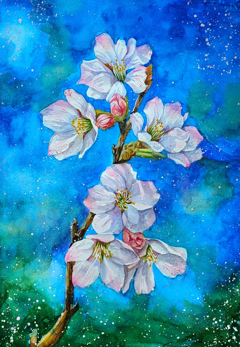 화방넷드로잉로그,벚꽂