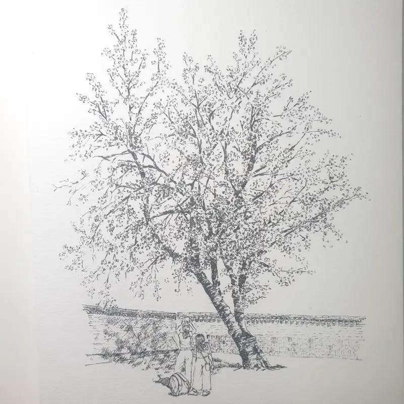 화방넷드로잉로그,벚꽃