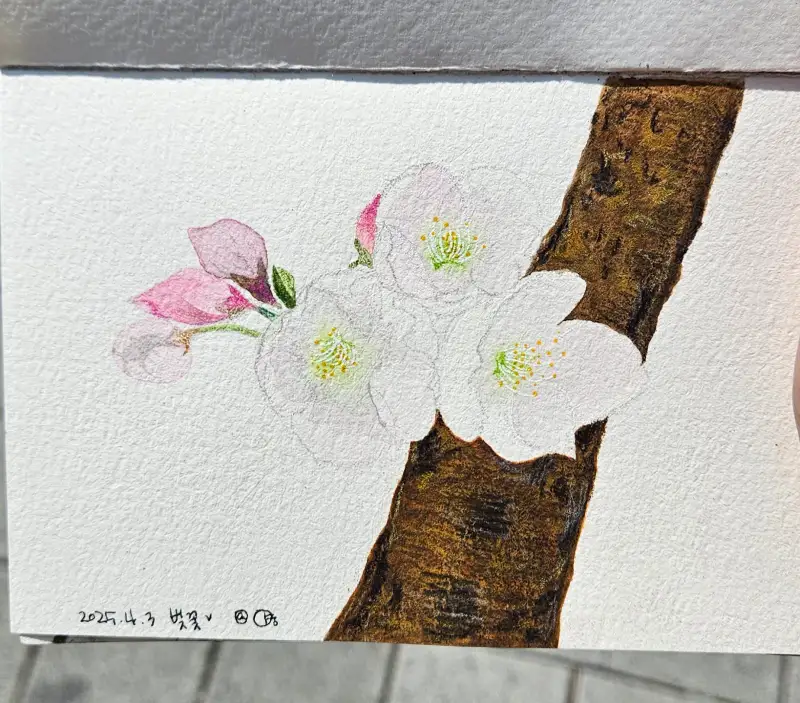 화방넷드로잉로그,드로잉로그